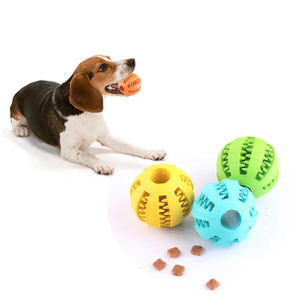 Interactive Chew Ball for Dogs